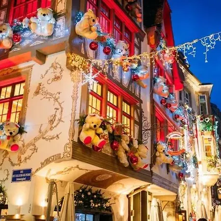 Appartement Beautiful In Old Town Straatsburg